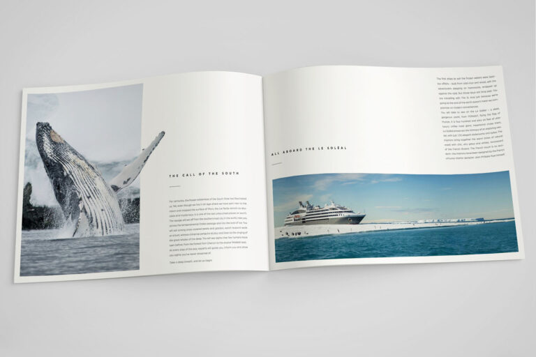 Mockups Design