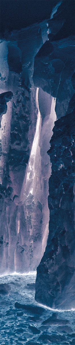 Lorraine Turci